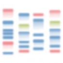 LifeDireX_Customized Prestained Protein Ladder (Customization)