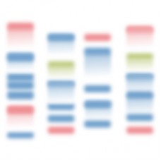 LifeDireX_Customized Prestained Protein Ladder (Customization)