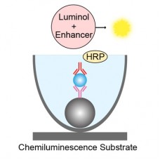 Enhanced Chemiluminescent Substrate (Custom fill )