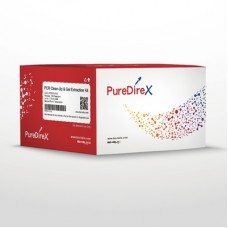 Genomic DNA Isolation Kit (Blood/Cultured Cell/Fungus)(Column Based) (100 rxns)