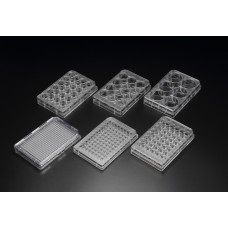 30006 Cell Culture Plate