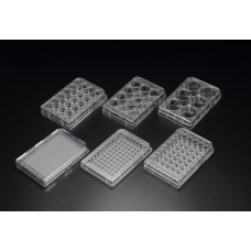 30048 Cell Culture Plate