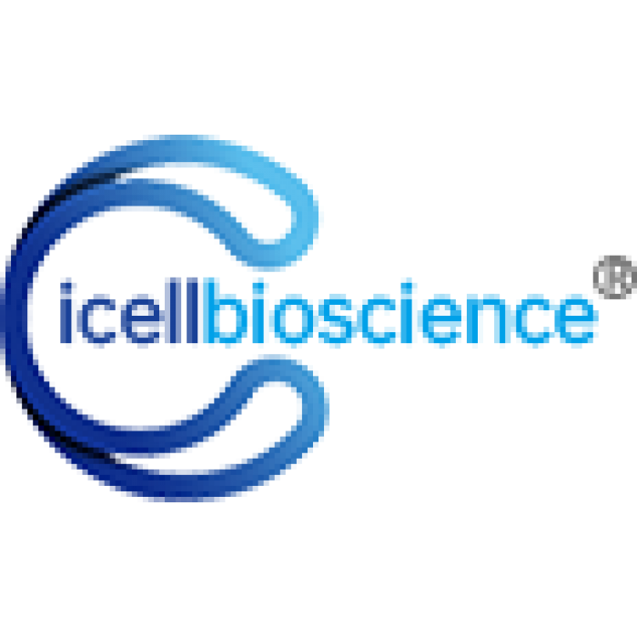 icell bioscience cell line