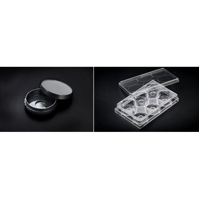 200350 confocal dish